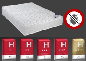 matelas anti punaises de lit pour hôtellerie en boutique